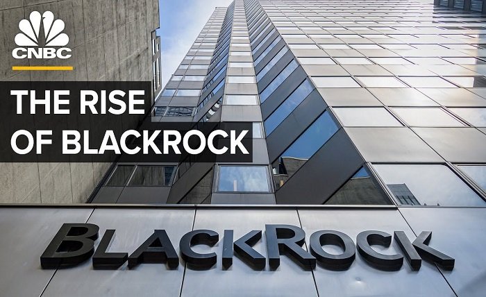BlackRock Company