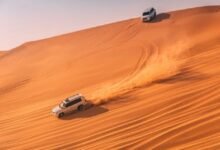 Desert Safari