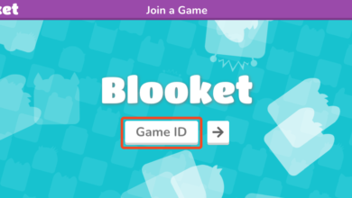 Play.Blooket.Com