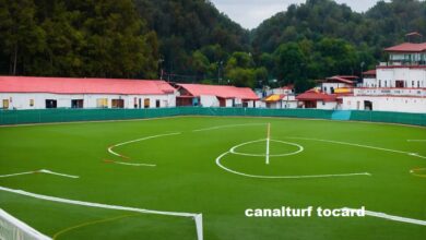 canalturf tocard
