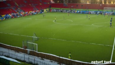 zeturf turf