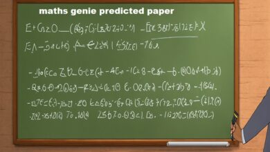 maths genie predicted paper