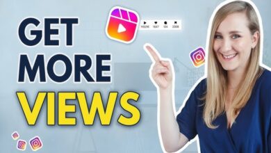 snapinsta reels download