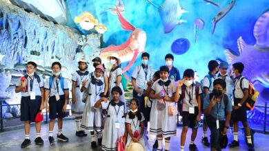 IGCSE-Affiliated Preschool